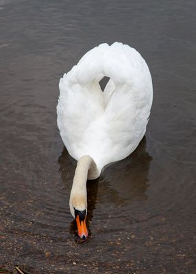 AnotherWalk01.jpg