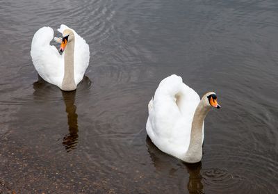 AnotherWalk02.jpg
