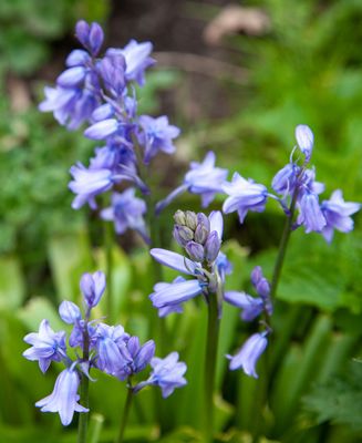 AnotherWalk03.jpg