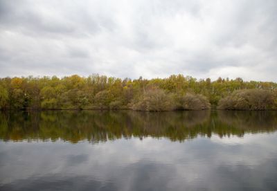 AnotherWalk05.jpg