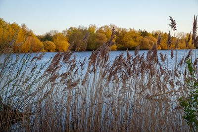 EveningWalk02.jpg