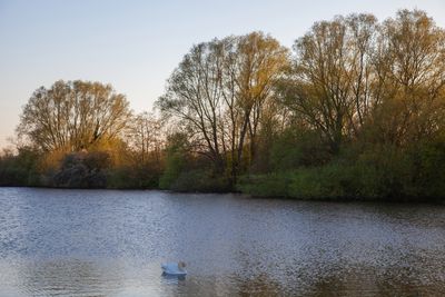 EveningWalk04.jpg