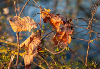 EveningWalk07.jpg