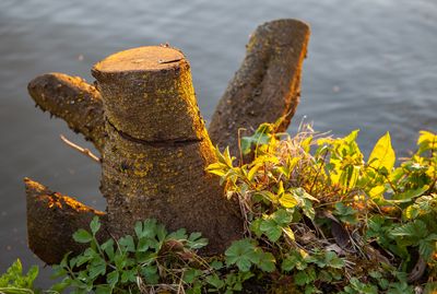 EveningWalk10.jpg