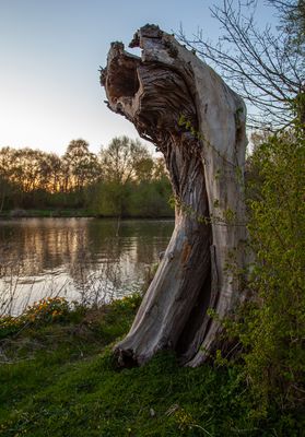 EveningWalk12.jpg