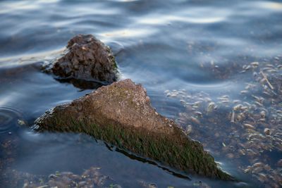 EveningWalk15.jpg
