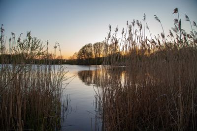 EveningWalk17.jpg