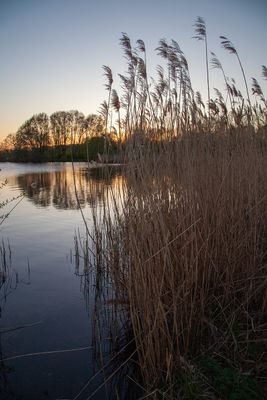 EveningWalk18.jpg