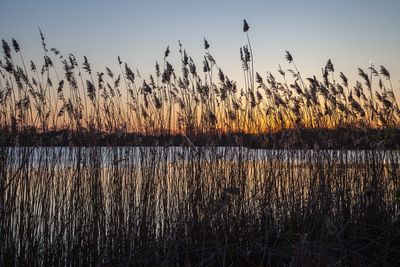 EveningWalk19.jpg