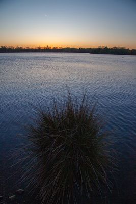 EveningWalk20.jpg