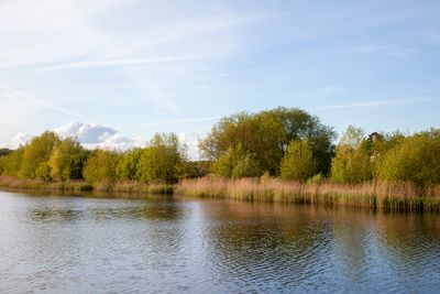 SundayEveningWalk03.jpg