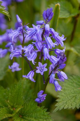 SundayEveningWalk05.jpg