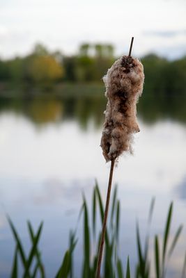 SundayEveningWalk07.jpg