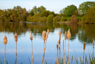 SundayEveningWalk10.jpg