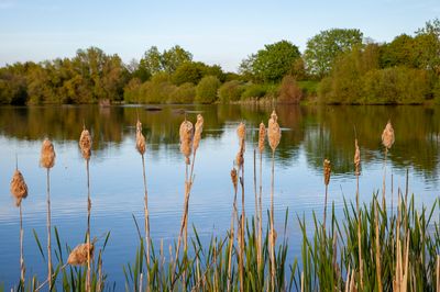 SundayEveningWalk11.jpg