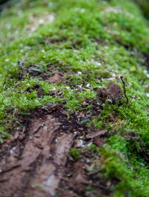 SundayEveningWalk19.jpg