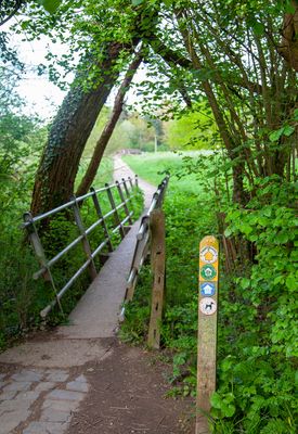 SundayEveningWalk29.jpg