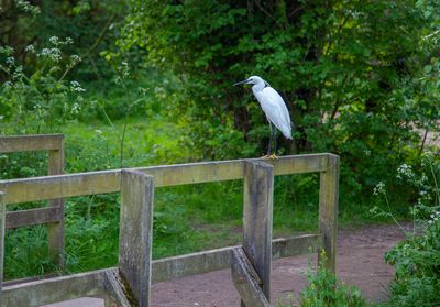 SundayEveningWalk31.jpg