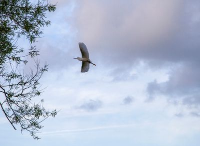 SundayEveningWalk33.jpg