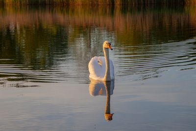 SundayEveningWalk41.jpg