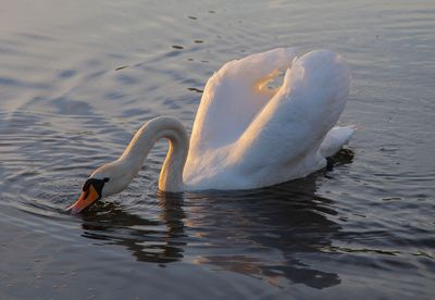 SundayEveningWalk42.jpg