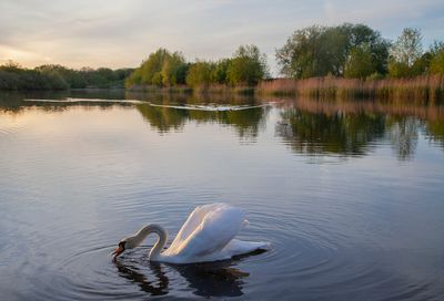 SundayEveningWalk44.jpg