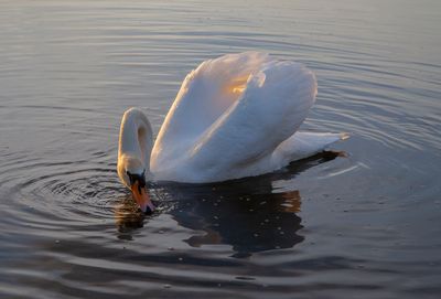 SundayEveningWalk45.jpg