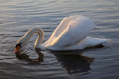 SundayEveningWalk48.jpg