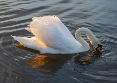 SundayEveningWalk49.jpg