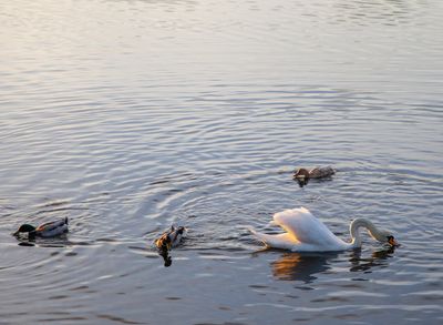 SundayEveningWalk52.jpg