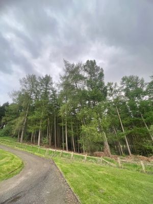 IMG_9080.jpeg