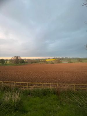 IMG_9084.jpeg