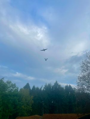 IMG_9087.jpeg
