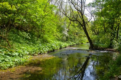 PeakDistrictNationalPark01.jpg