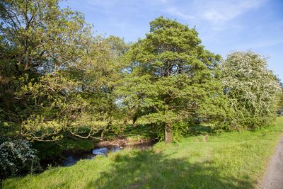 PeakDistrictNationalPark60.jpg