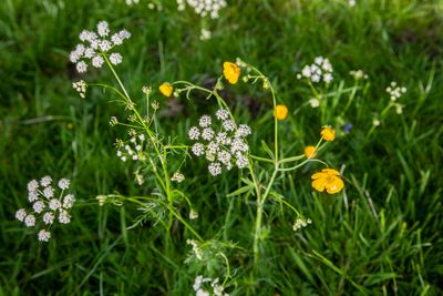 PeakDistrictNationalPark61.jpg