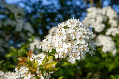PeakDistrictNationalPark63.jpg