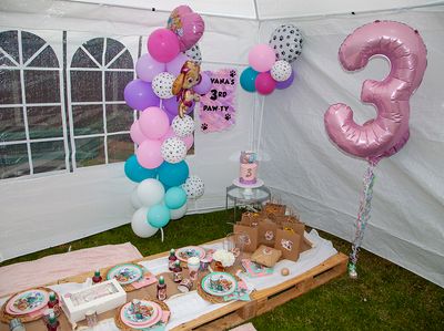 HavanasBirthdayParty005.jpg
