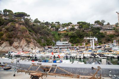 LloretdeMar342.jpg