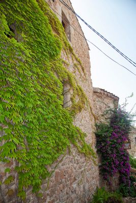 LloretdeMar839.jpg