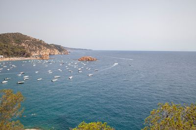 LloretdeMar850.jpg