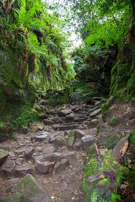 LudsChurch&TheRoaches055_1.jpg
