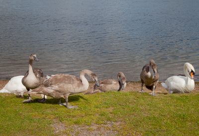 HavanaWaterparkWalk10.jpg