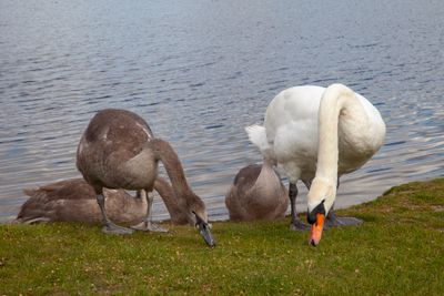 HavanaWaterparkWalk11.jpg