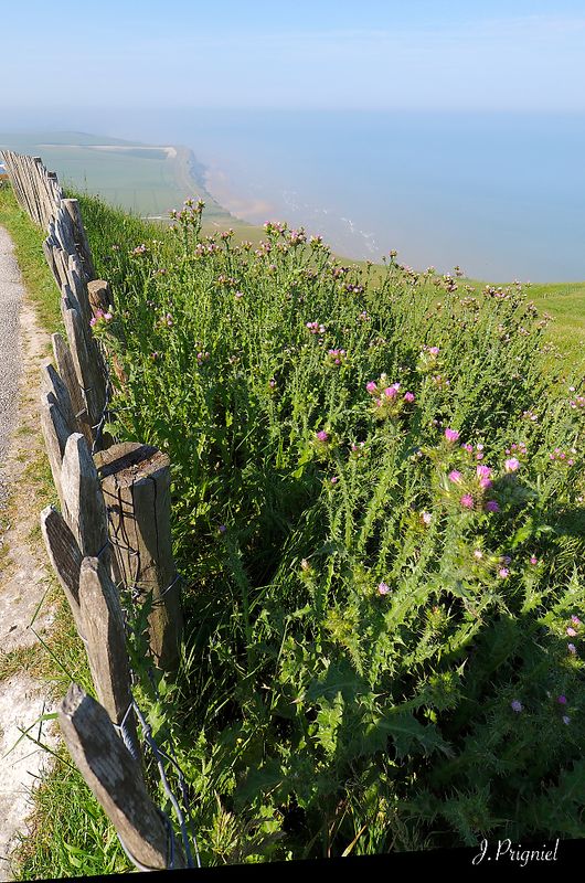 Cap Blanc Nez
