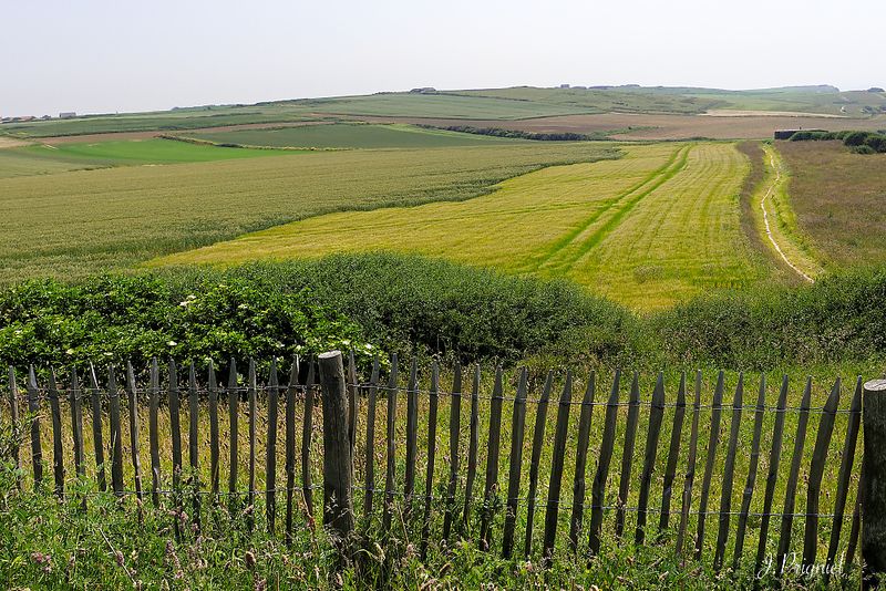 Cap gris nez