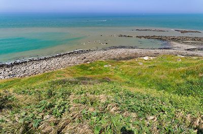 Cap gris nez