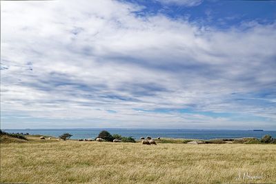 Cap blanc Nez