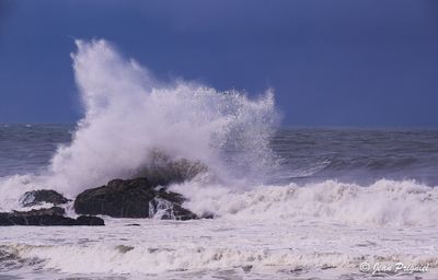 Porto