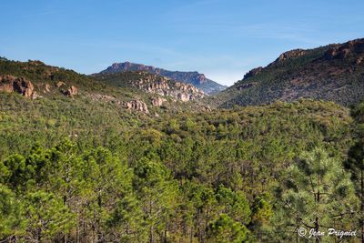 Esterel